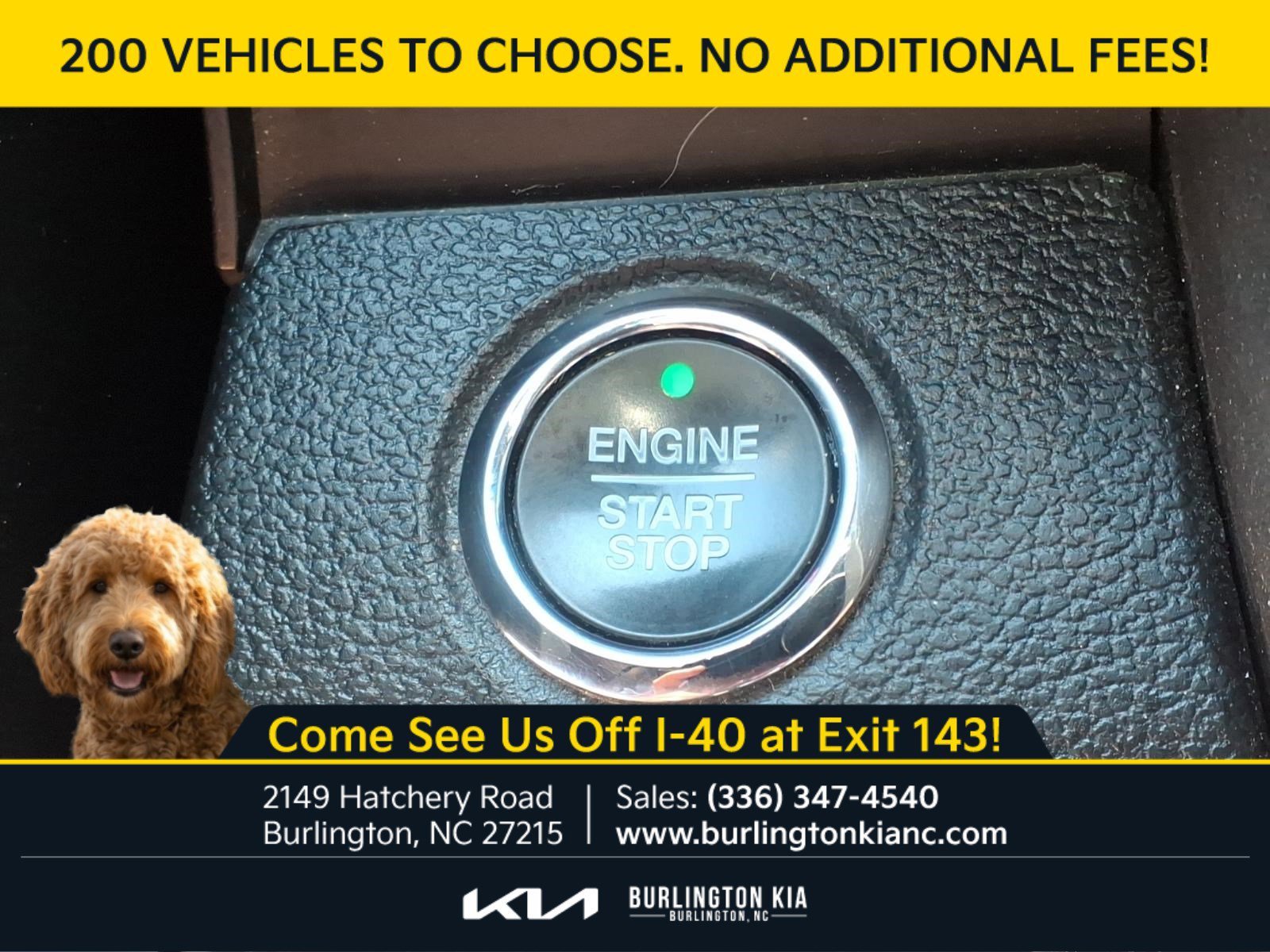 Used 2020 Blue Ford Platinum image 14