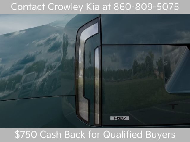 New 2027 Black Jade Green Kia X-LINE SX image 11
