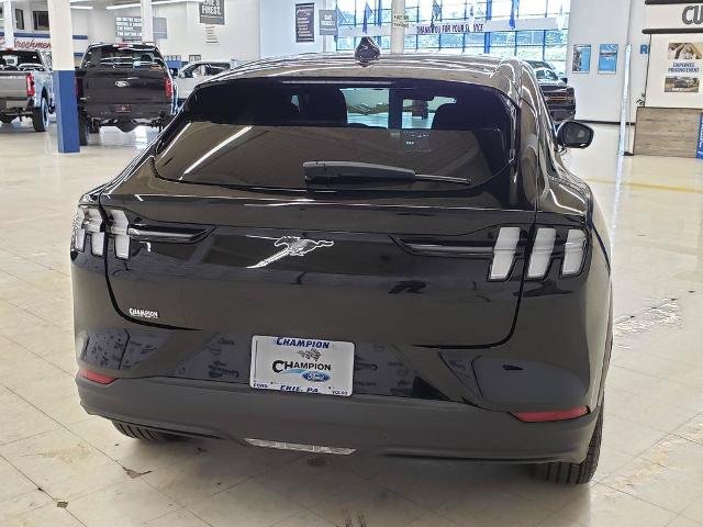 New 2026 Shadow Black Ford Premium image 7