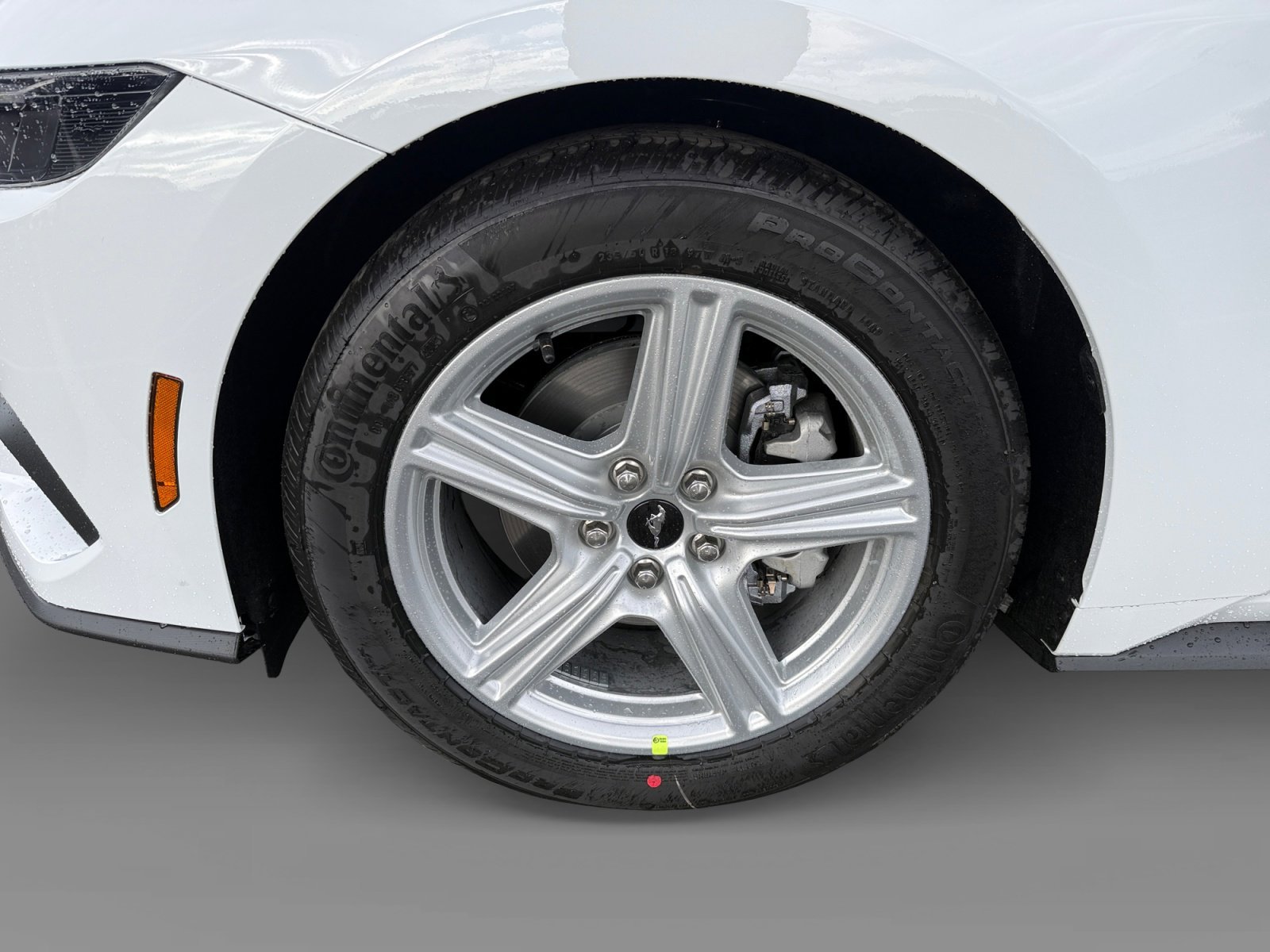 New 2026 Oxford White Ford EcoBoost® Fastback image 9