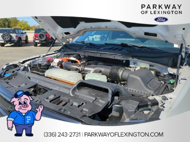 Used 2024 White Ford XLT image 35