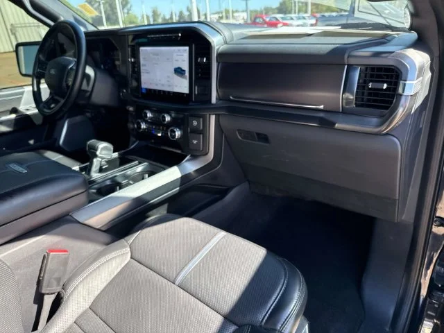 Used 2024 Blue Ford Platinum image 19