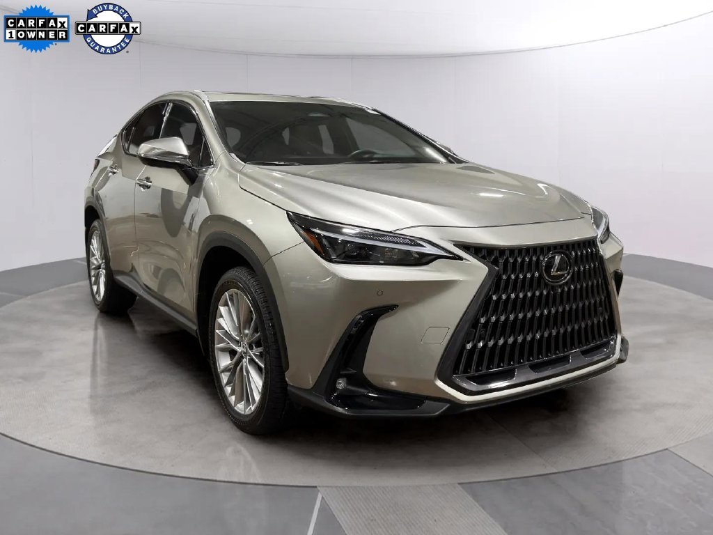 2025 Lexus NX 350