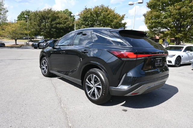 2025 Lexus RX 350 - Photo 9
