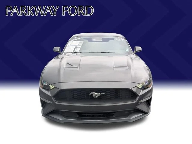 Used 2022 Gray Ford EcoBoost image 2