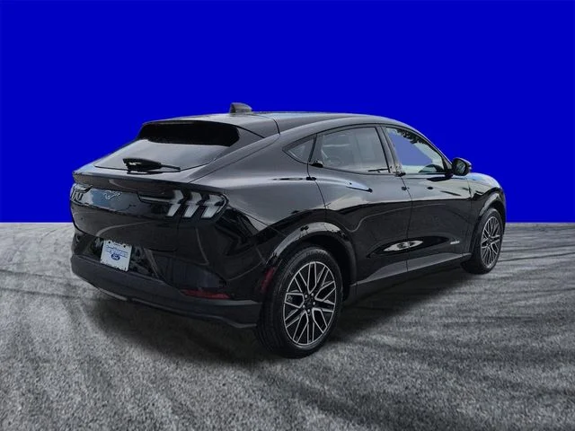 New 2026 Shadow Black Ford Premium image 4