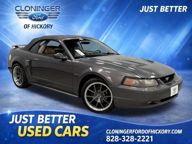 Miniature Ford Mustang Convertible Concept 2003 - Beanstalk / Ford - Échelle 1:18