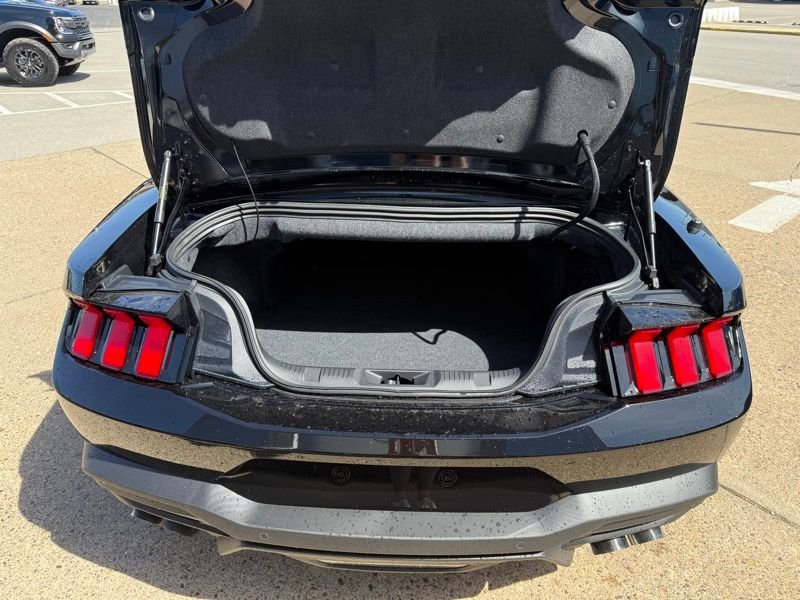 2025 Ford Mustang GT Premium Convertible - Photo 10