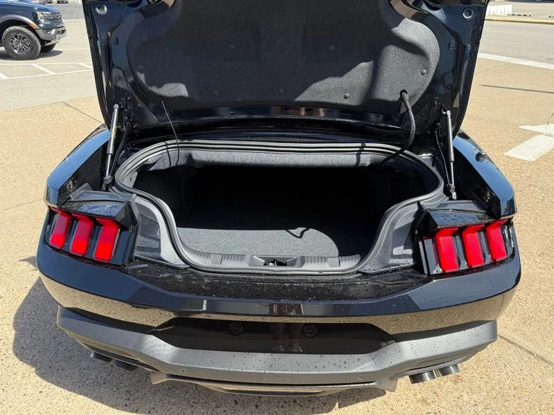 2025 Ford Mustang GT Premium Convertible - Photo 10
