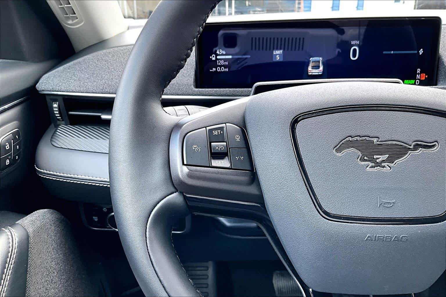 Used 2025 Shadow Black Ford Premium image 28