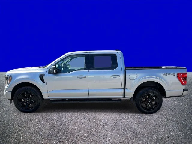 Certified Used 2023 Silver Ford XLT image 6