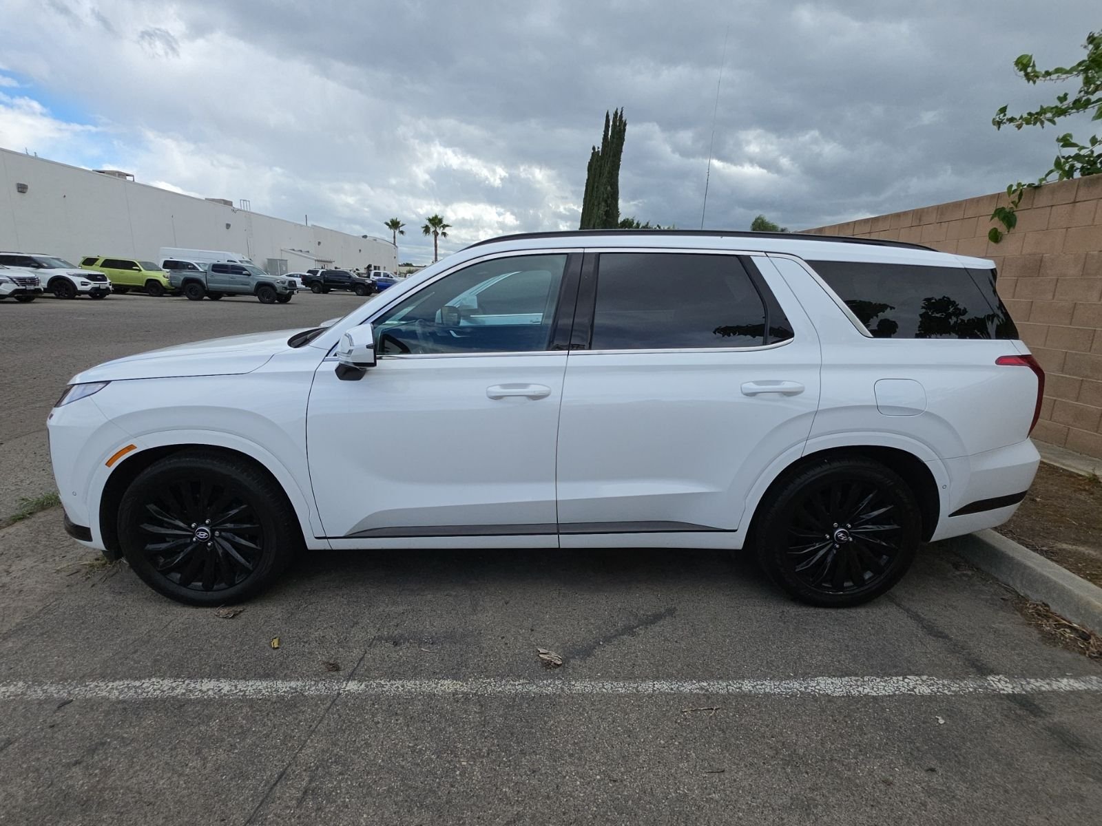 2024 Hyundai Palisade Calligraphy Night Edition photo 3