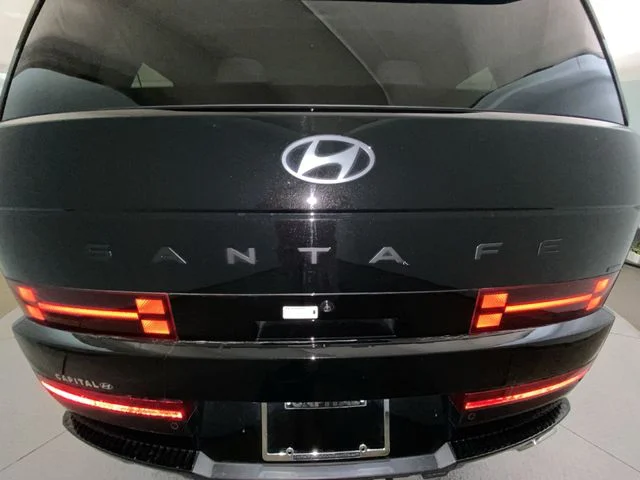 Used 2025 Black Hyundai Calligraphy image 28