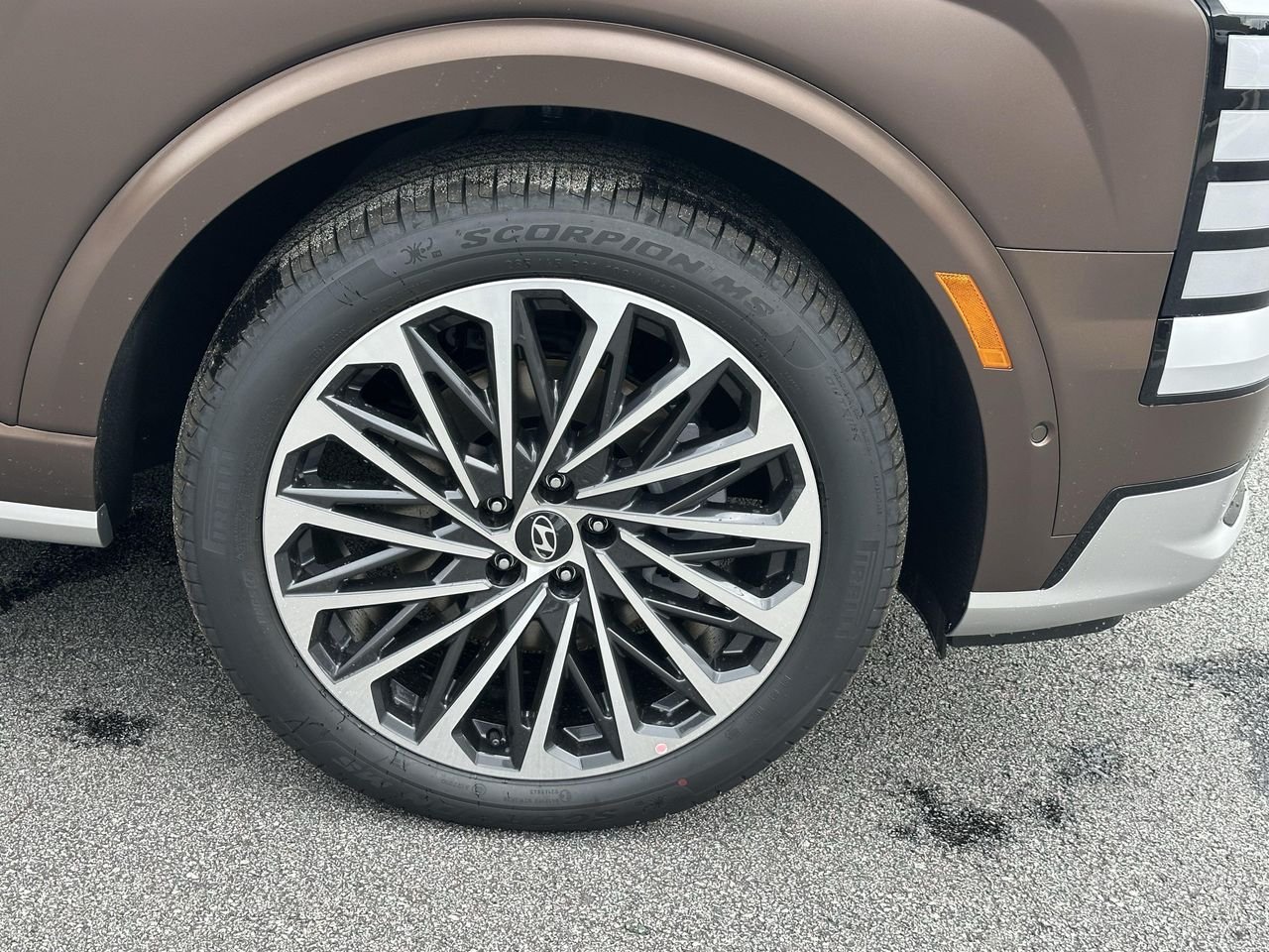 New 2026 Earthy Brass Matte Hyundai Calligraphy image 12