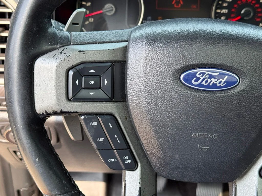 Used 2019 Gray Ford Raptor image 16
