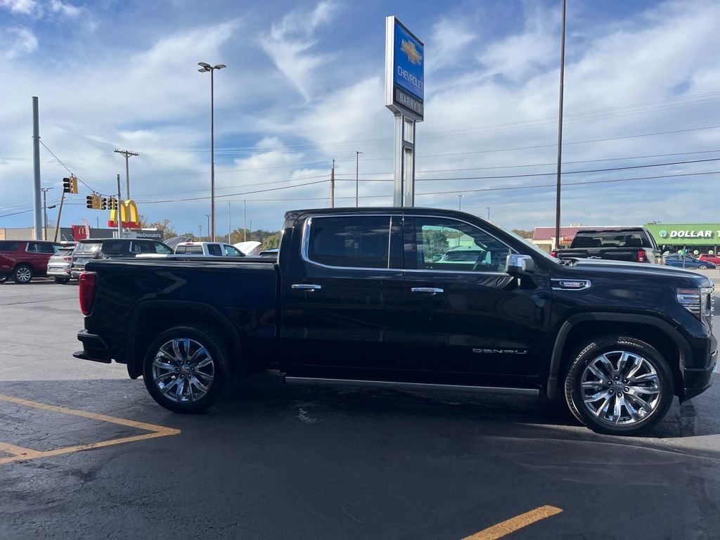 2025 Gmc Sierra 1500 Denali photo 4