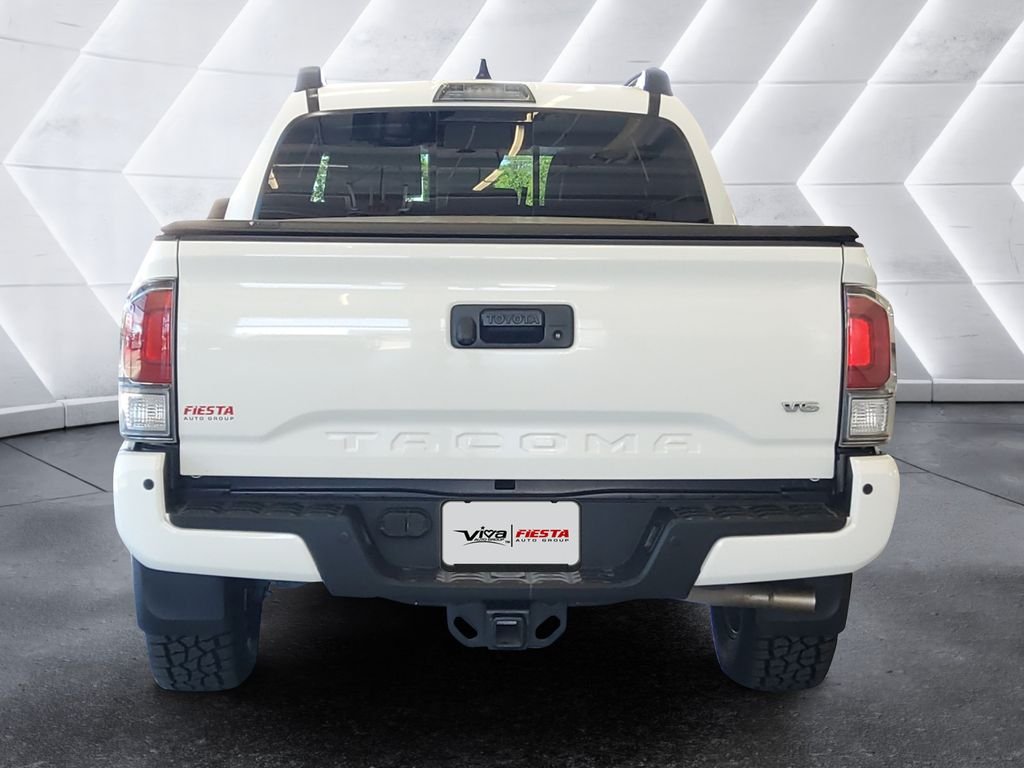Photo 5