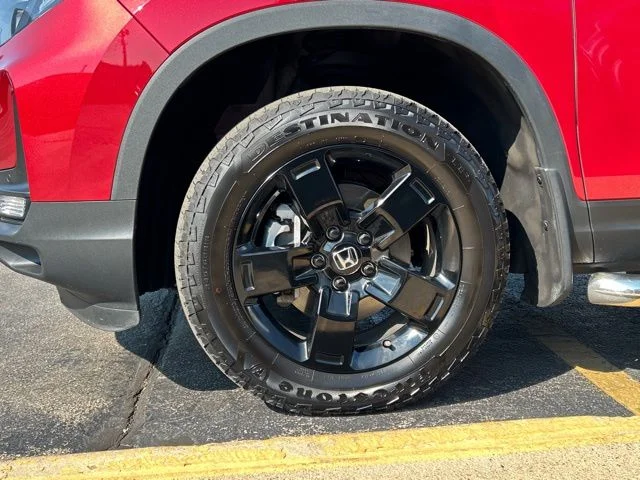 Used 2025  Honda Black Edition image 13