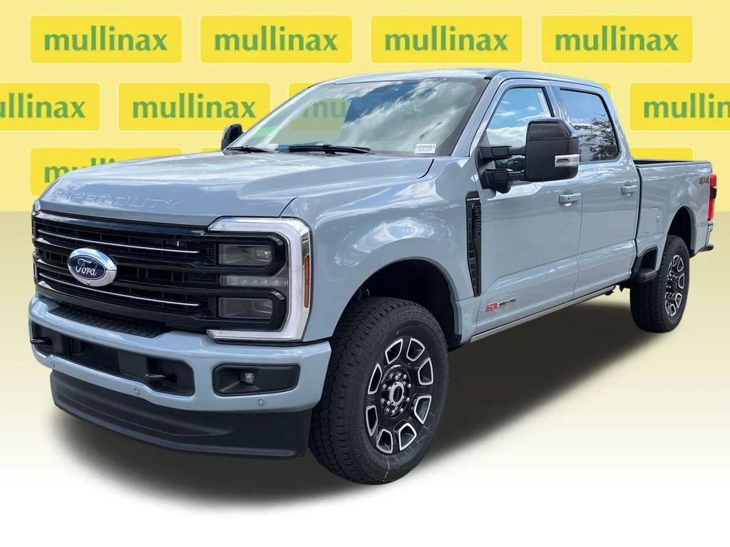 New 2026 Gray Ford Platinum image 15