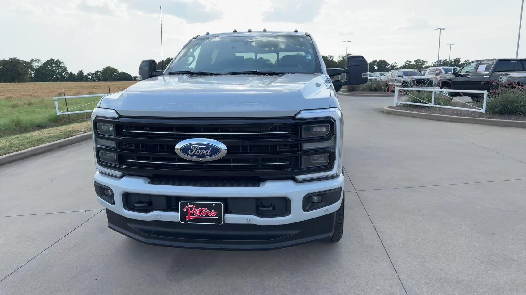 Used 2025 Gray Ford Platinum image 4