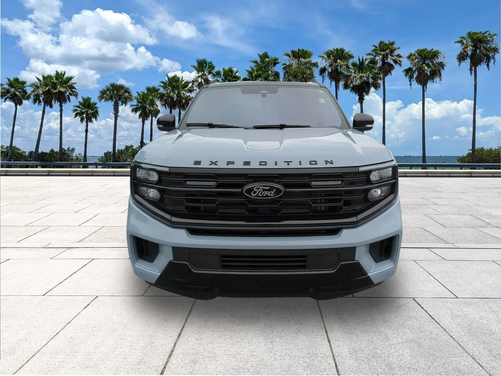 Certified Used 2025 Glacier Gray Metallic Ford Platinum image 2