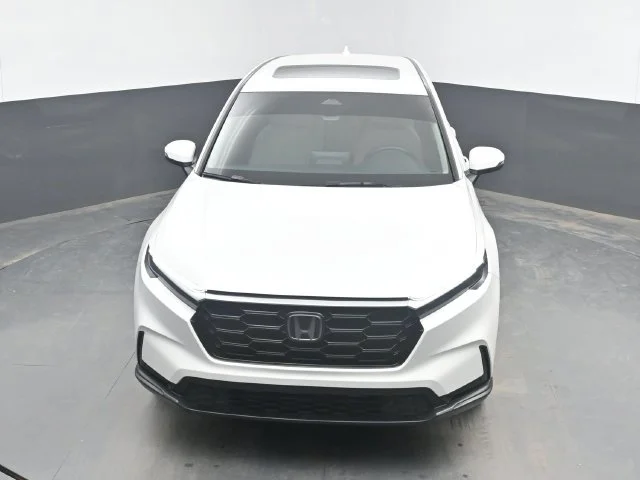 Used 2025  Honda EX-L image 14