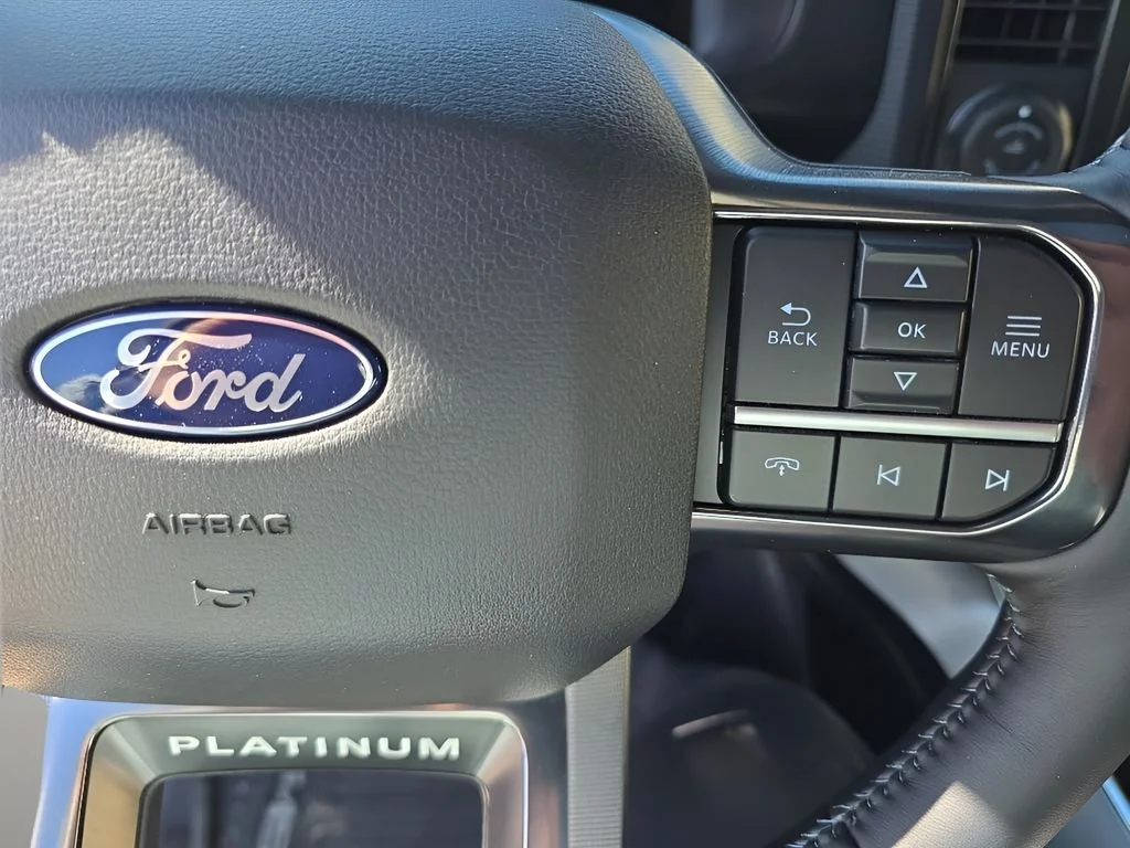 2025 Ford F-150 Platinum - Photo 18