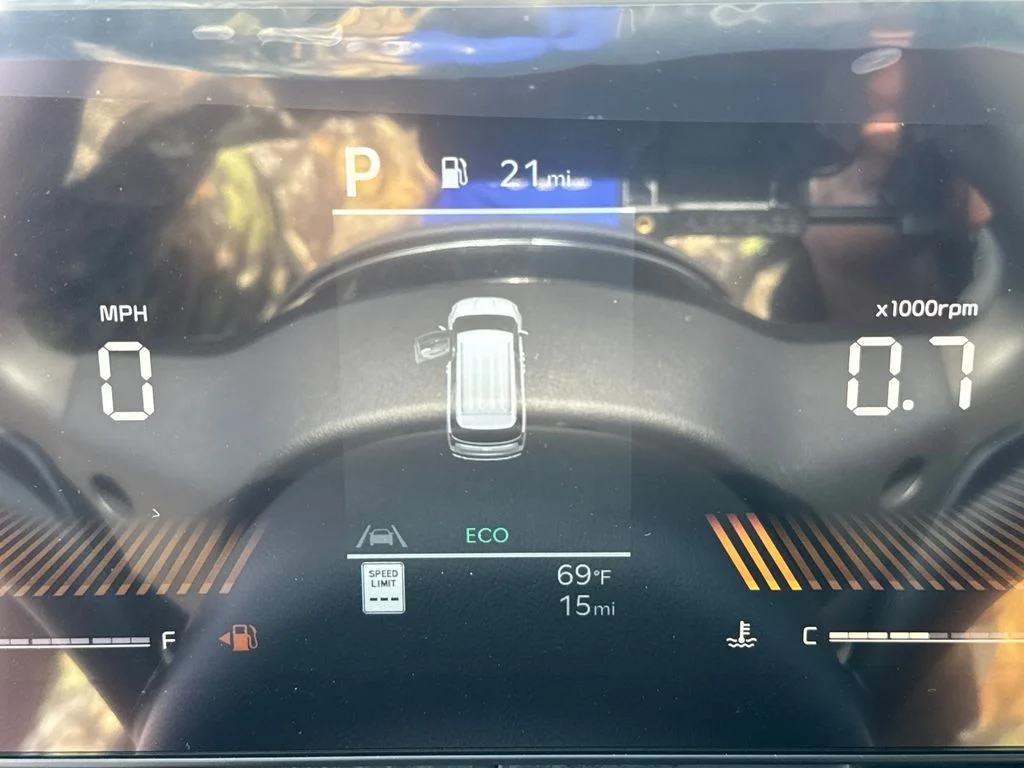 New 2026 Panthera Metal Kia LX image 24