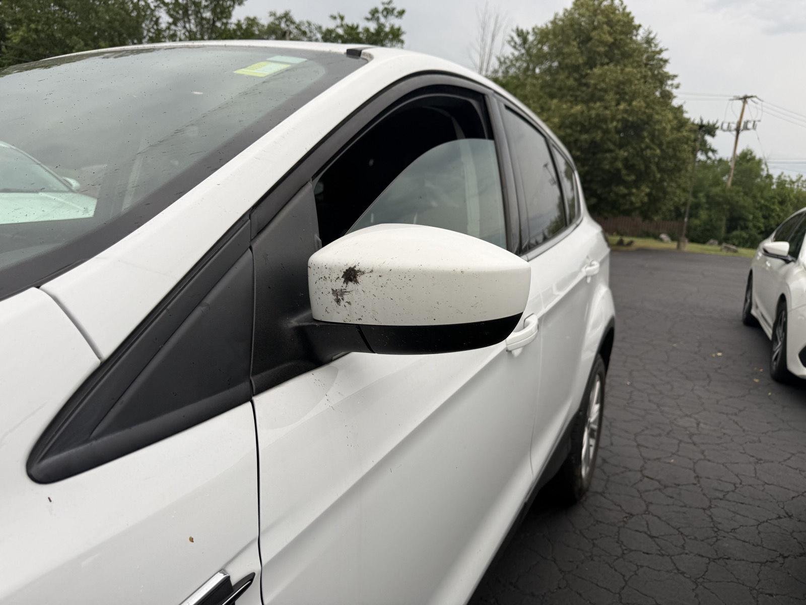 Used 2019 Oxford White Ford SE image 10