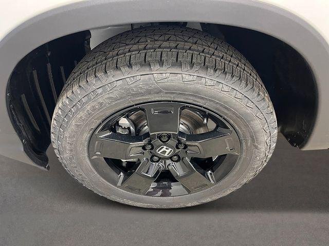 New 2026 Platinum White Pearl Honda Black Edition image 12