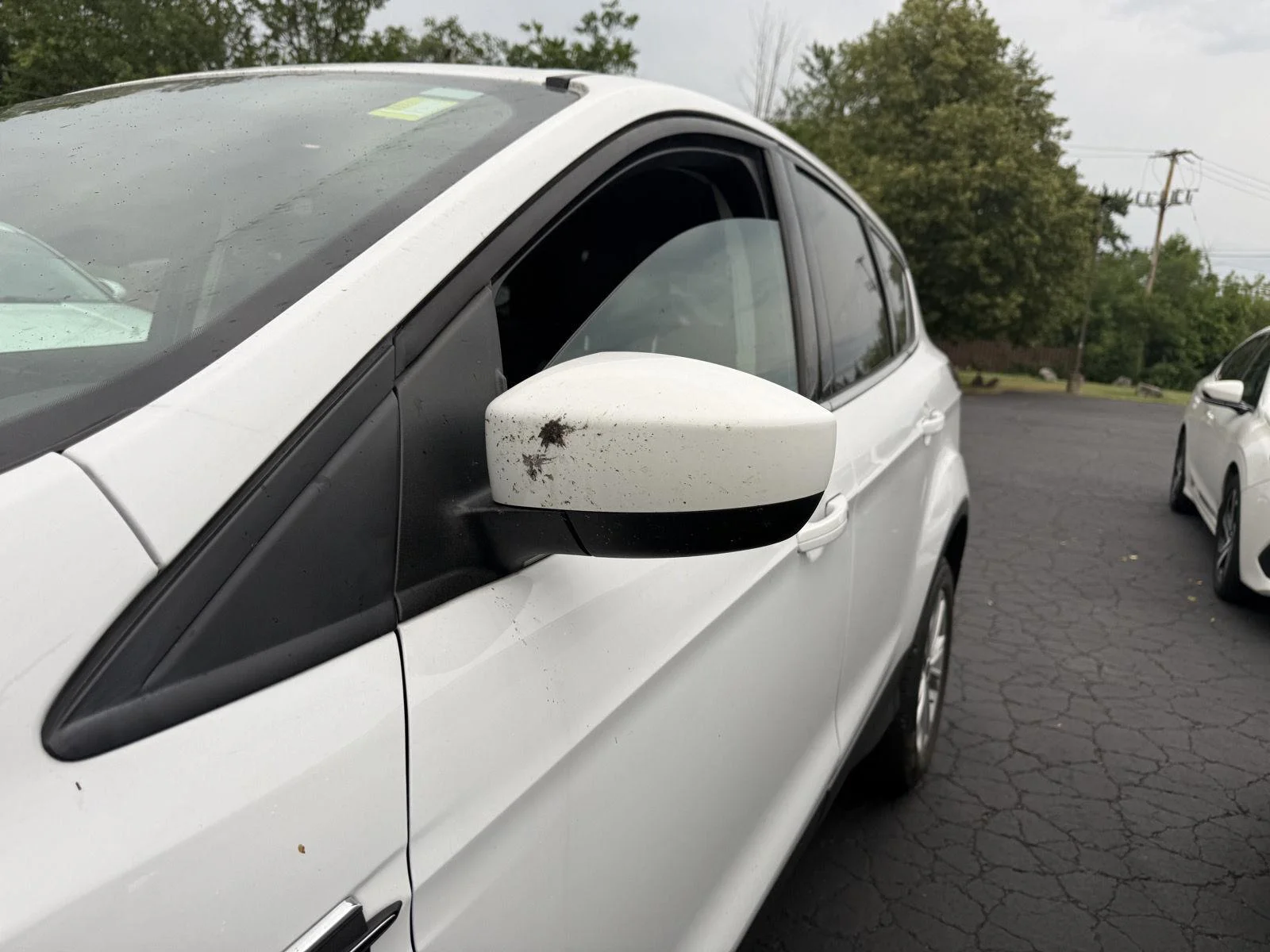 Used 2019 Wh Ford SE image 10