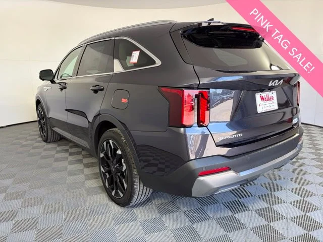 New 2026  Kia SX image 11