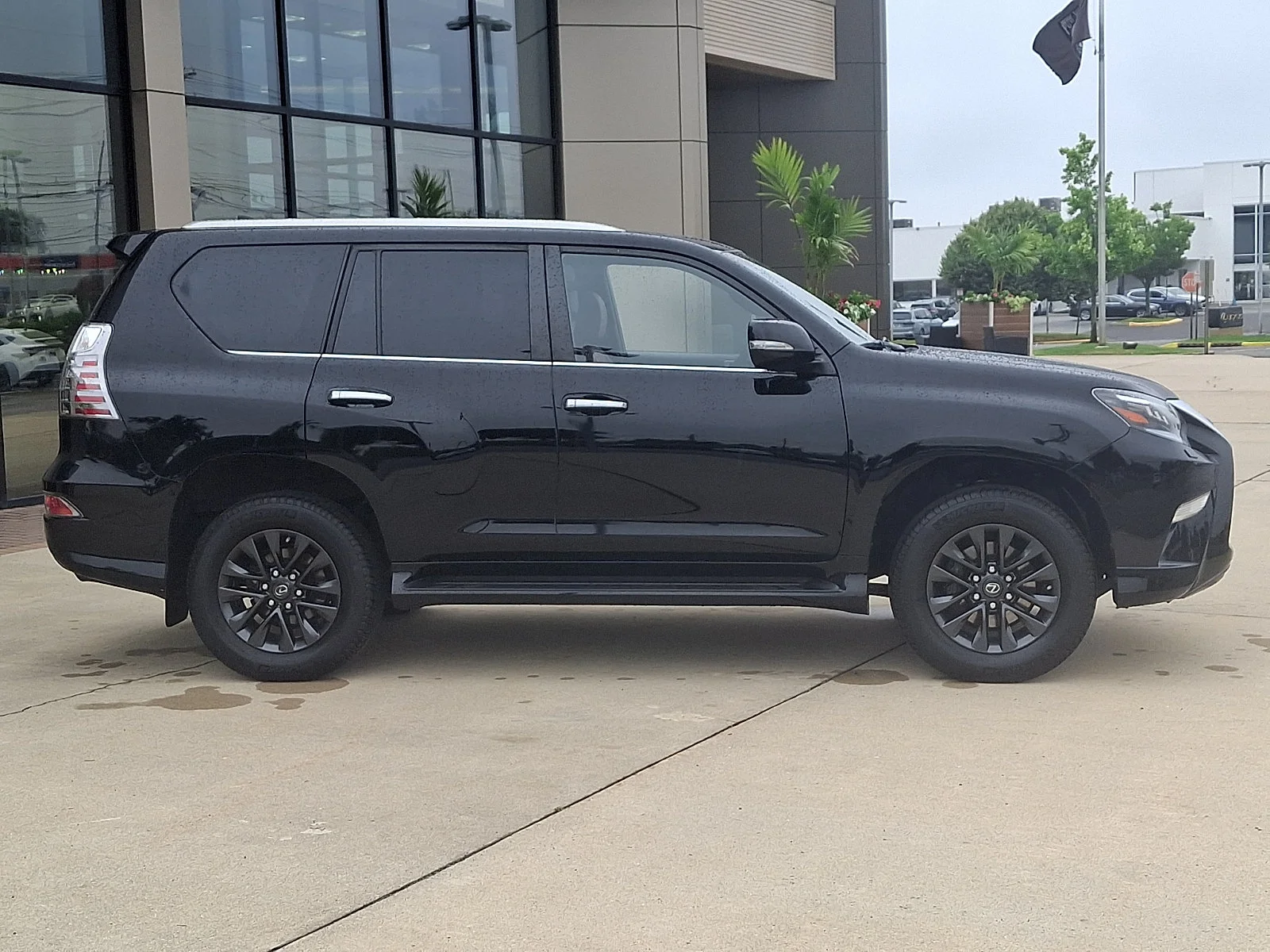 Certified Used 2023 BLACK Lexus  image 7
