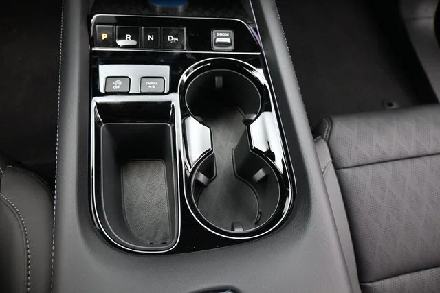 New 2026 Super Black Nissan Platinum image 25