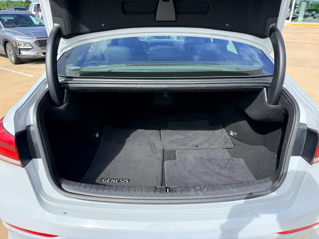 Used 2020 Siberian Ice Genesis 3.8L image 27