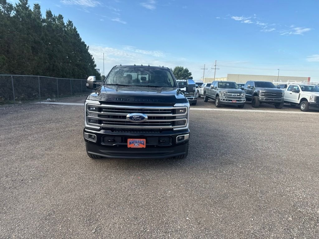 New 2026 Agate Black Metallic Ford Platinum image 10