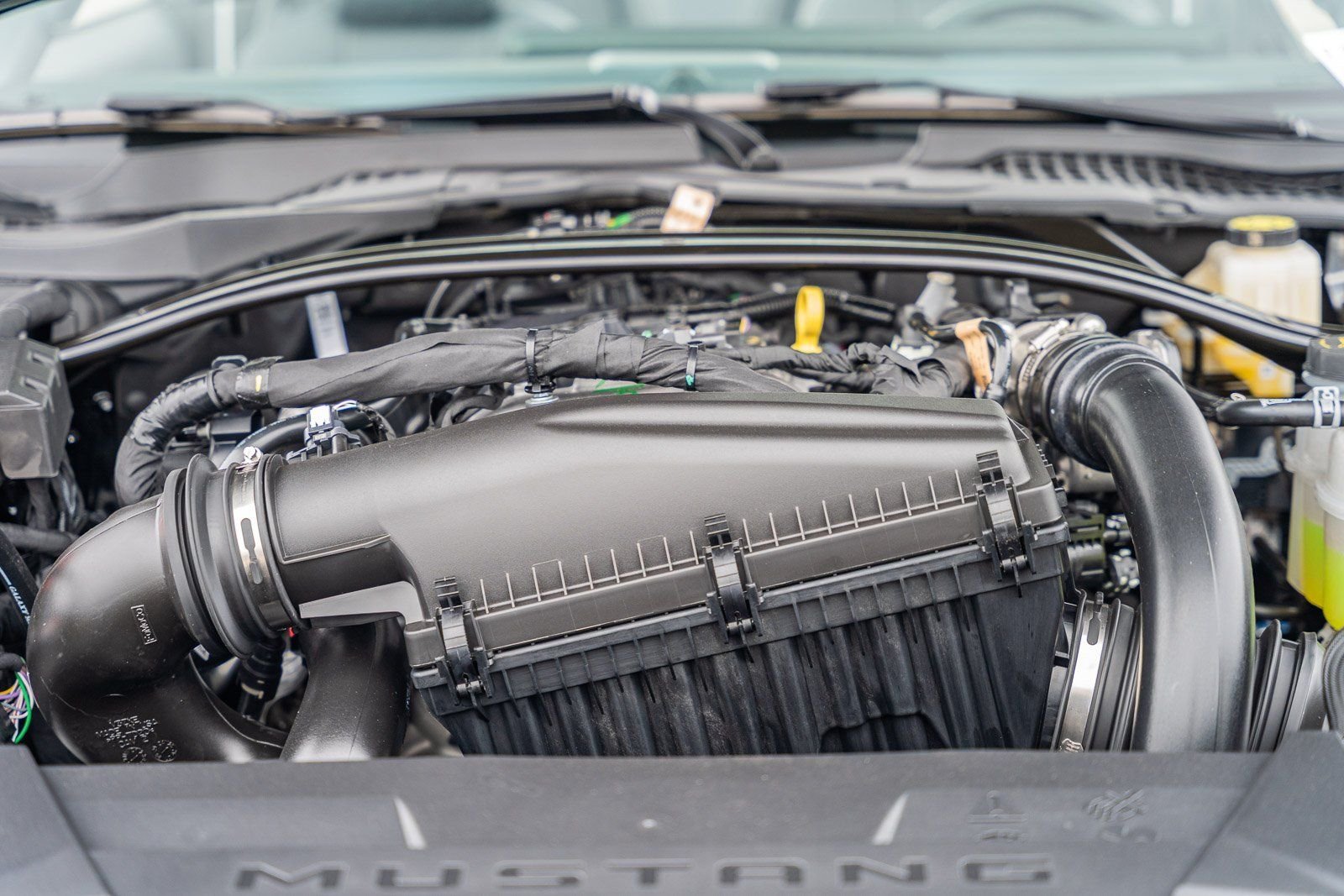2025 Ford Mustang EcoBoost Premium Convertible - Photo 24