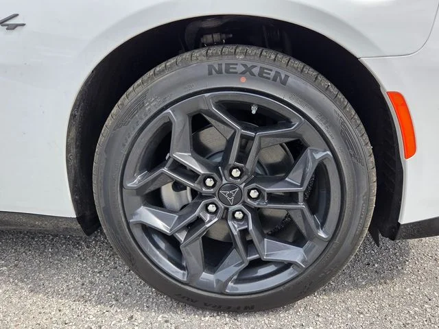 New 2026 White Knuckle Exterior Paint Dodge R/T image 9