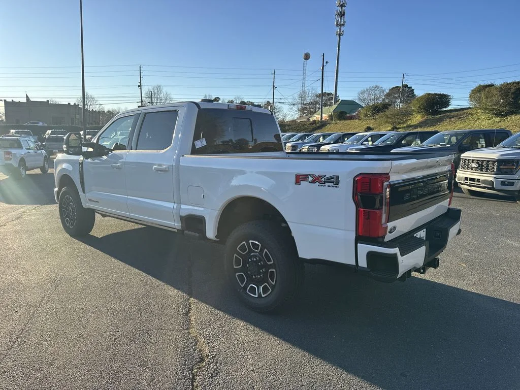 New 2026 White Ford Platinum image 5