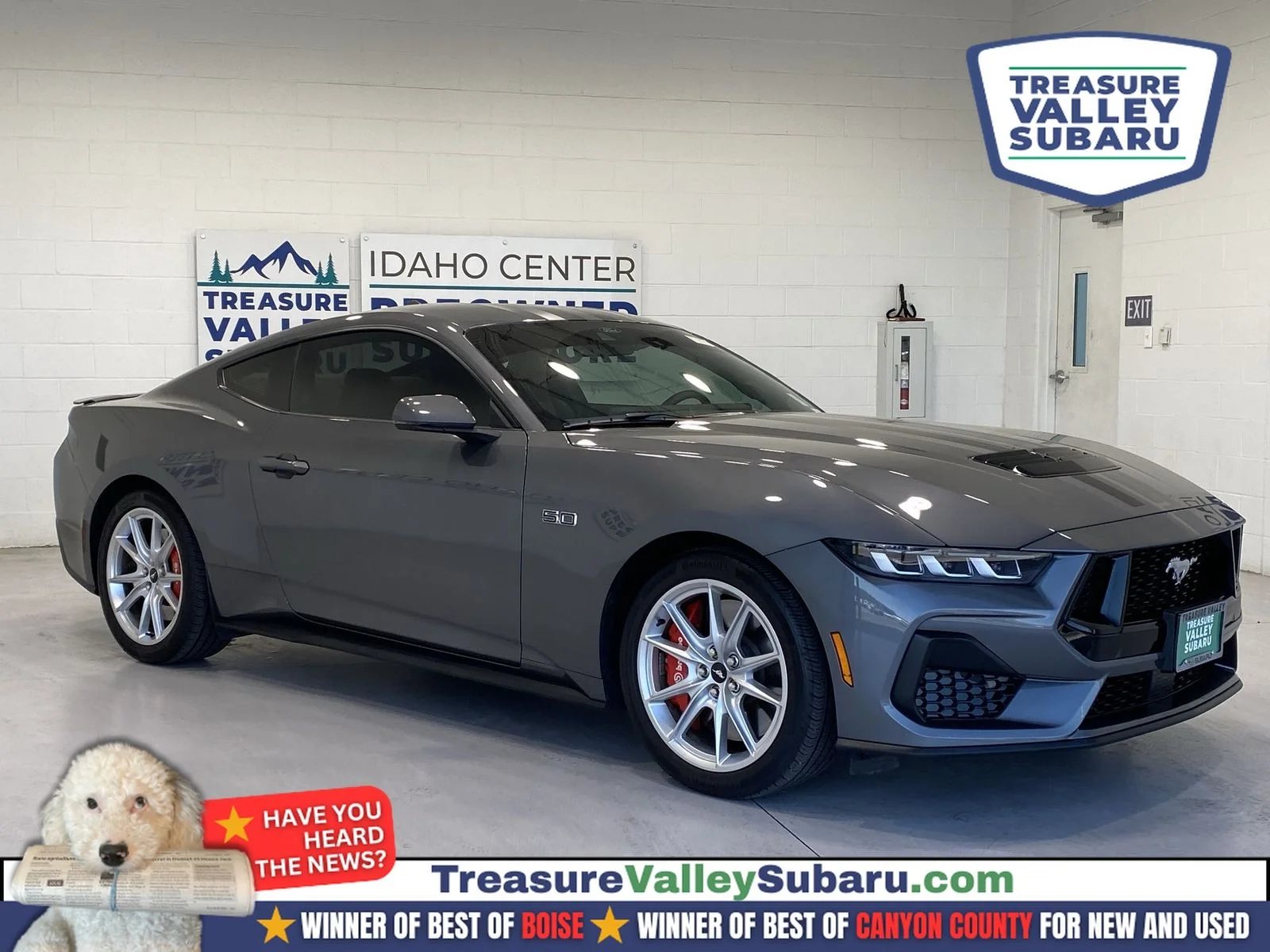 2024 Ford Mustang GT Premium Fastback's photo