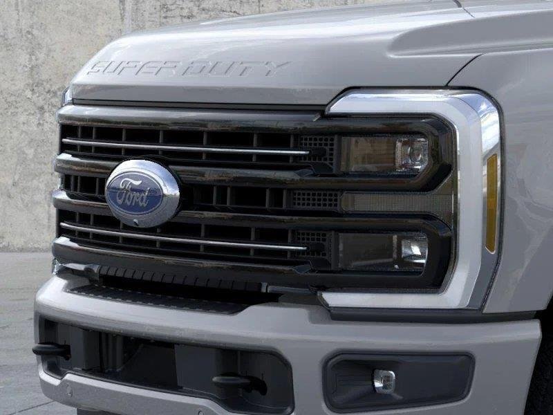 New 2026 Avalanche Gray Ford Platinum image 10