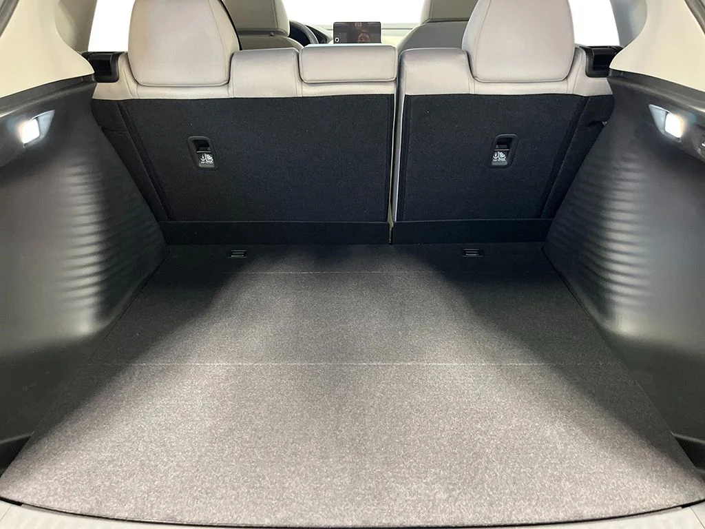 New 2027 Platinum White Pearl Honda LX 2.0 image 22