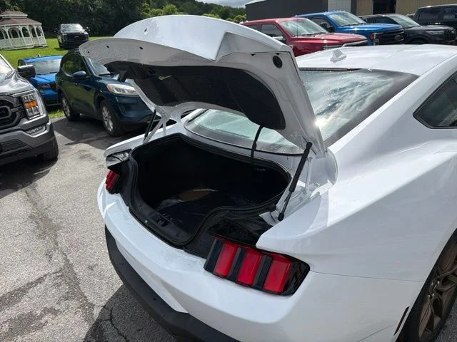 2025 Ford Mustang EcoBoost Premium Fastback - Photo 44