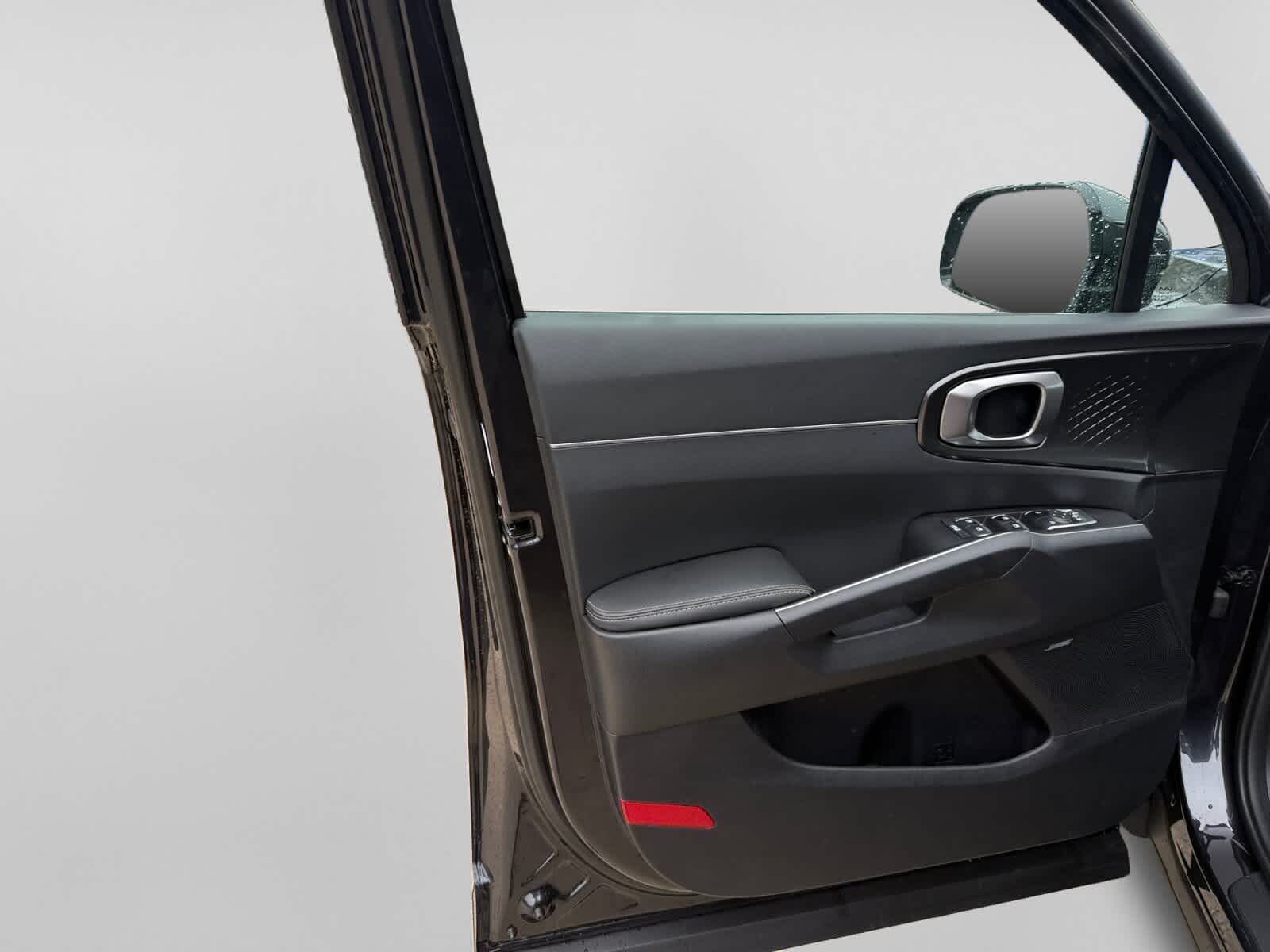 New 2026 Panthera Metal Kia EX image 10