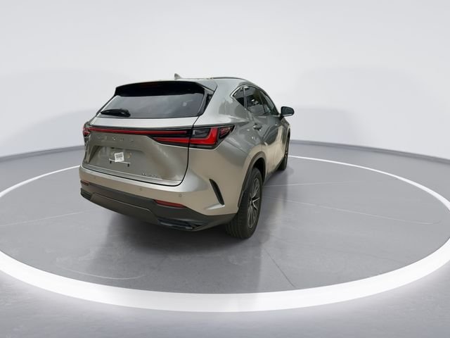 2025 Lexus NX 250 - Photo 7