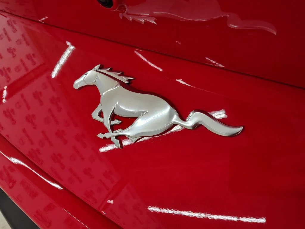 New 2026 Race Red Ford EcoBoost® Fastback image 15