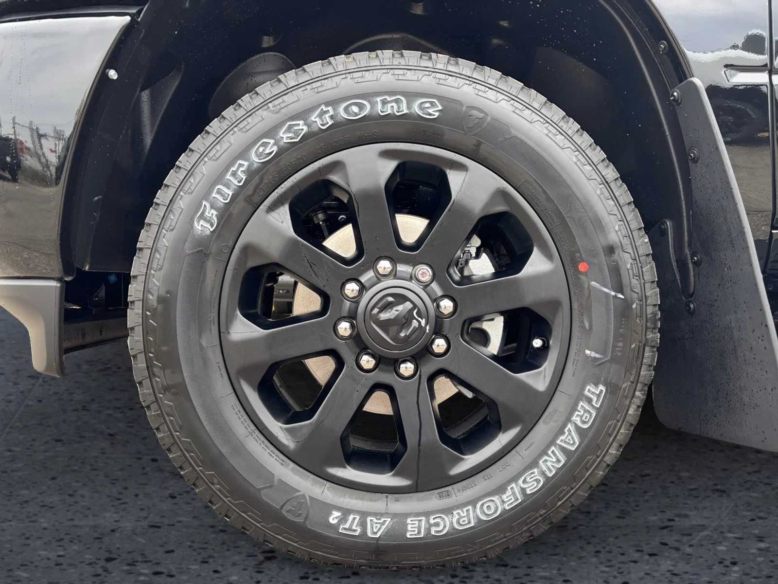 New 2027 Diamond Black Crystal Pearl Ram Big Horn image 9
