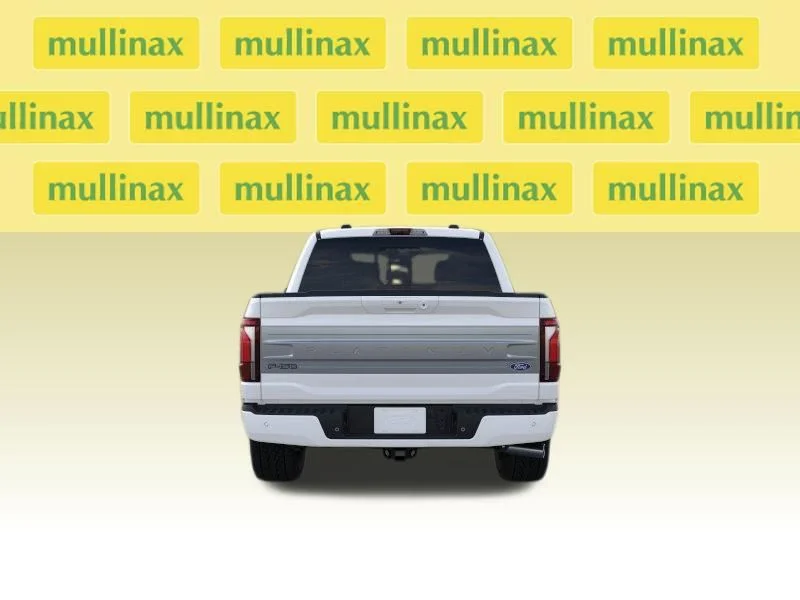 New 2026 White Ford Platinum image 9