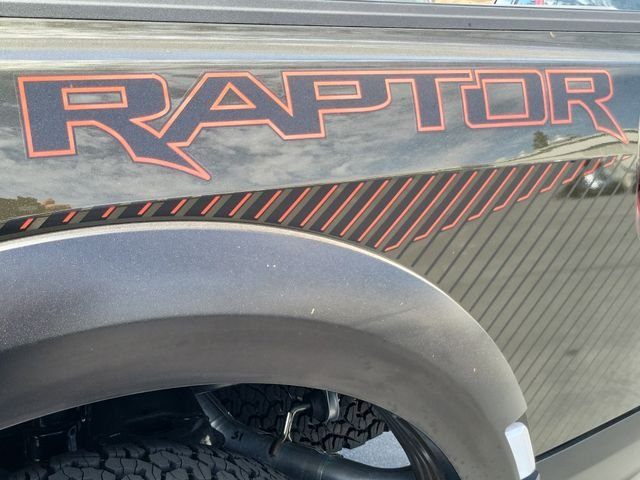 New 2026 Shelter Green Ford Raptor® image 26
