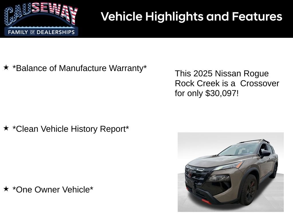 Used 2025 Beige/tan Nissan Rock Creek image 2